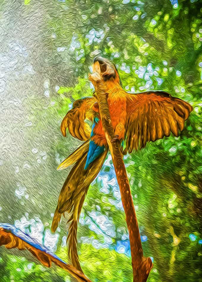 Ferocious Parrot