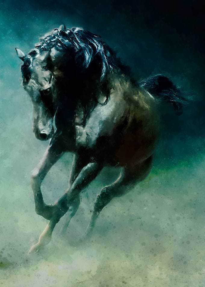 The Stallion