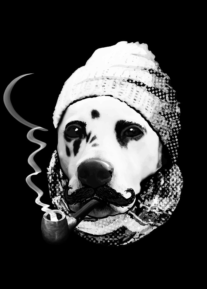 Hipster dog