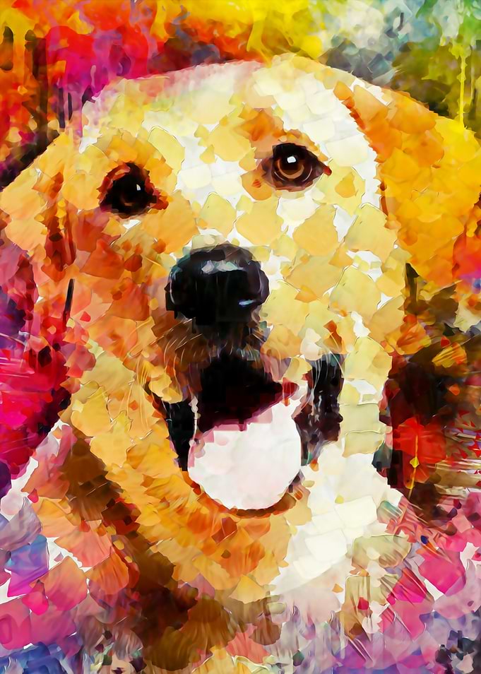smiling labrador