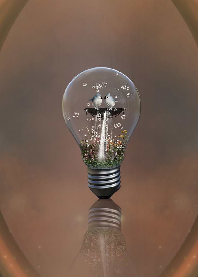 Ligh bulb with birds