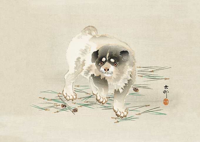 Confused dog woodblock art