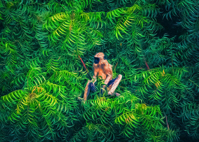 Sitting Monkey