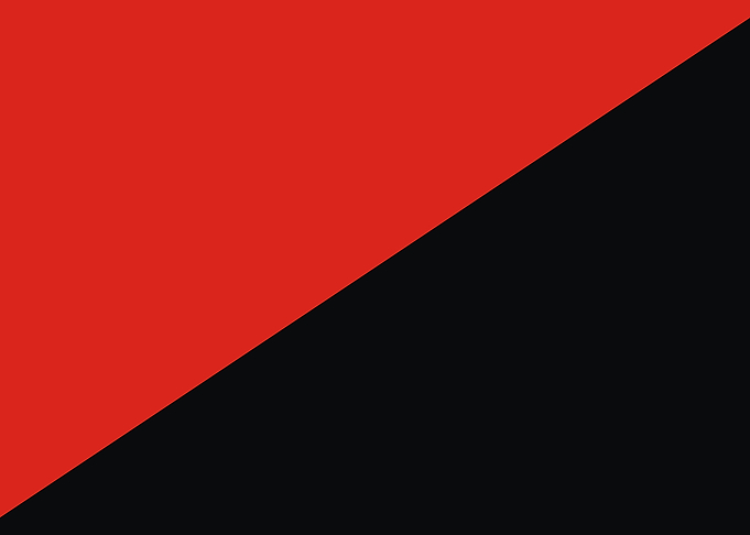 anarchy flag