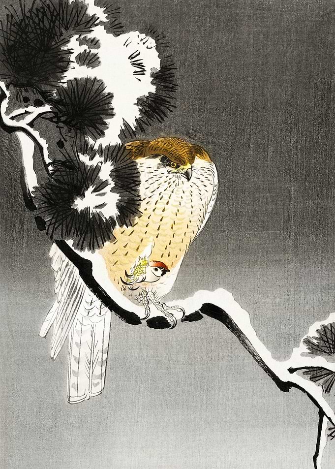 Hawk and its prey woodcut