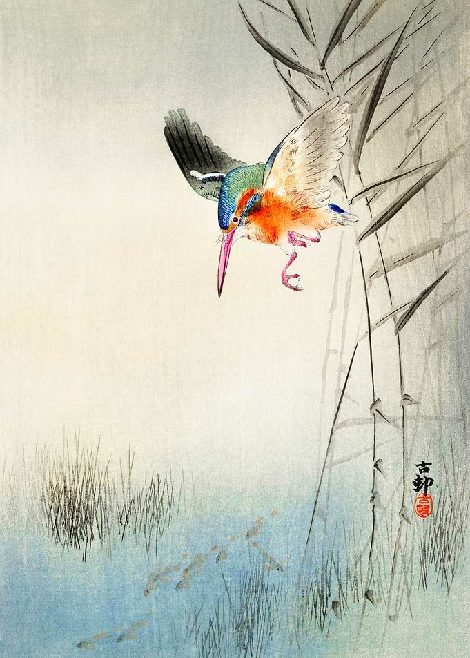 Diving Kingfisher Woodcut