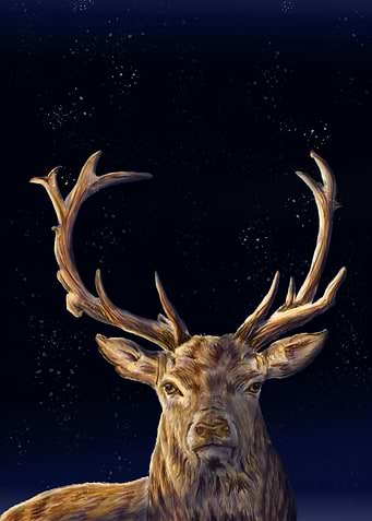 Stag in the snow