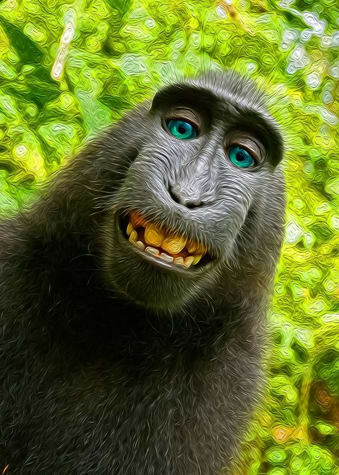 Happy Chimpanzee