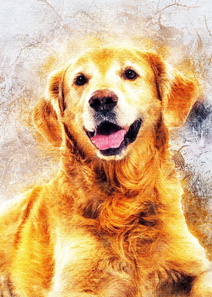 Dog 08