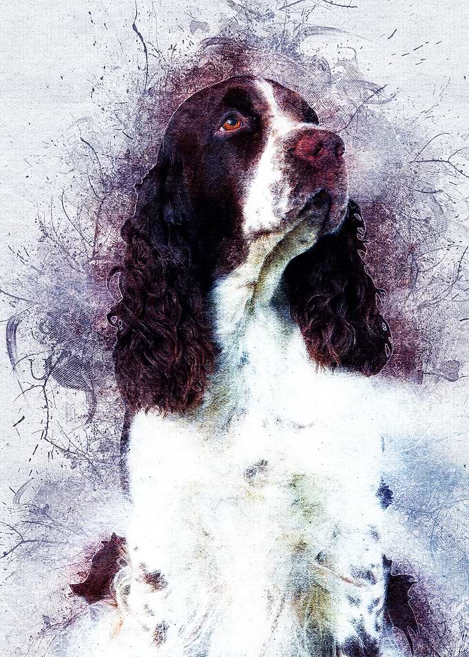 Dog 03
