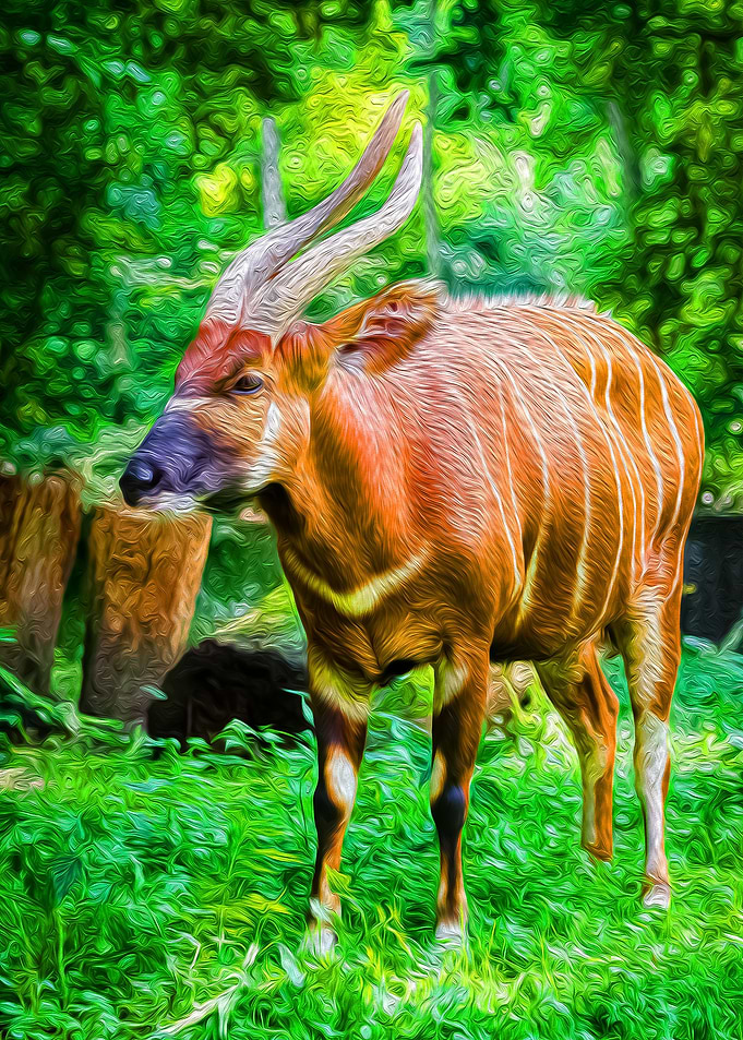 Roaming Antilope