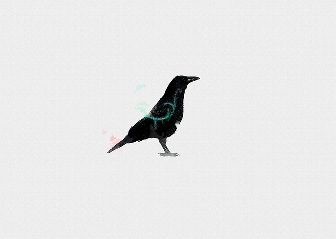 Crow