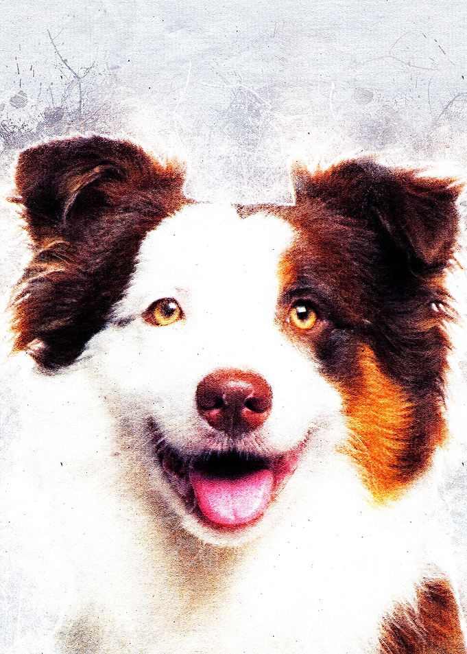 Dog 04