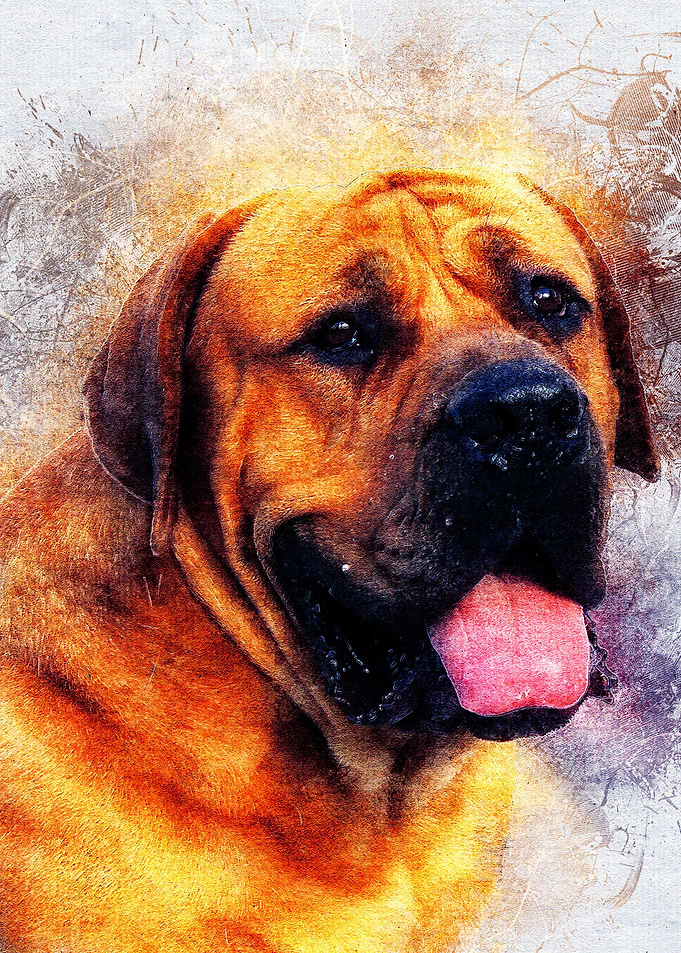 Dog 10