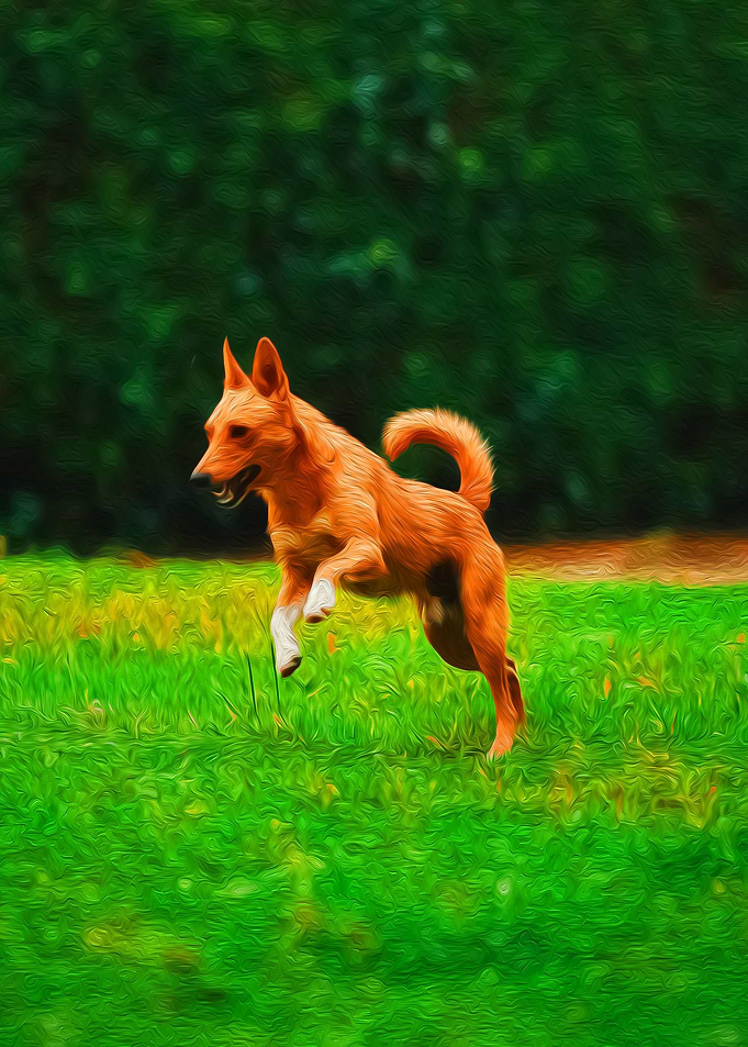Joyful Dog