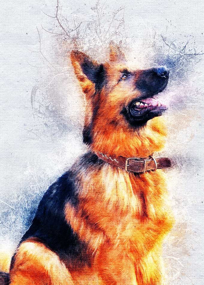 Dog 09