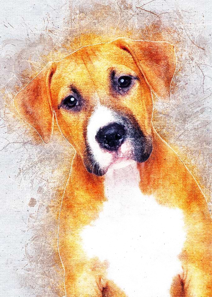 Dog 05