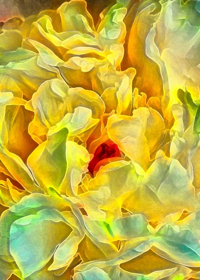 Yellow flowers