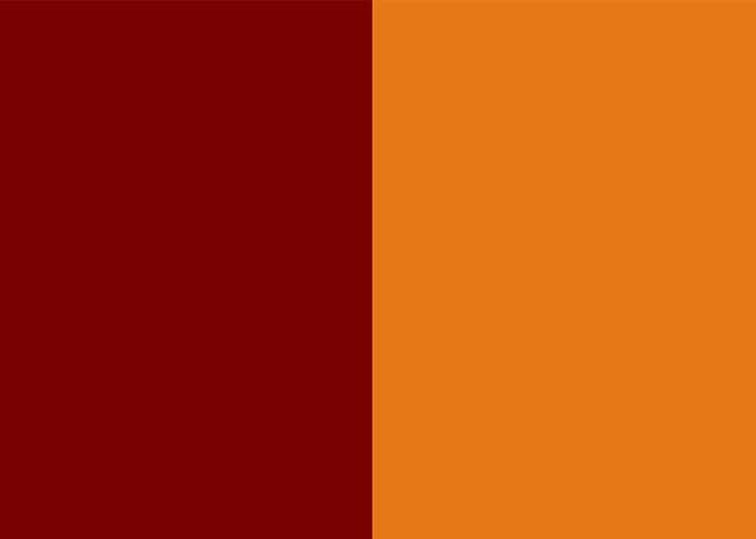 rome flag