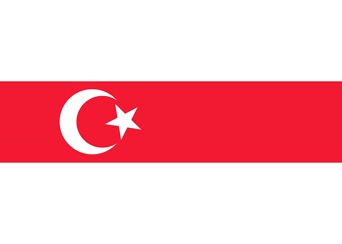 Tatars of Belarus flag