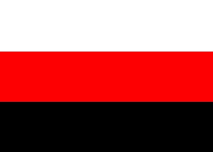 Erzya Flag