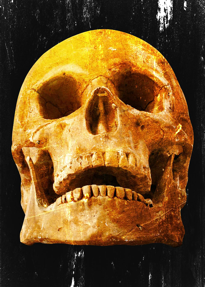 Skull