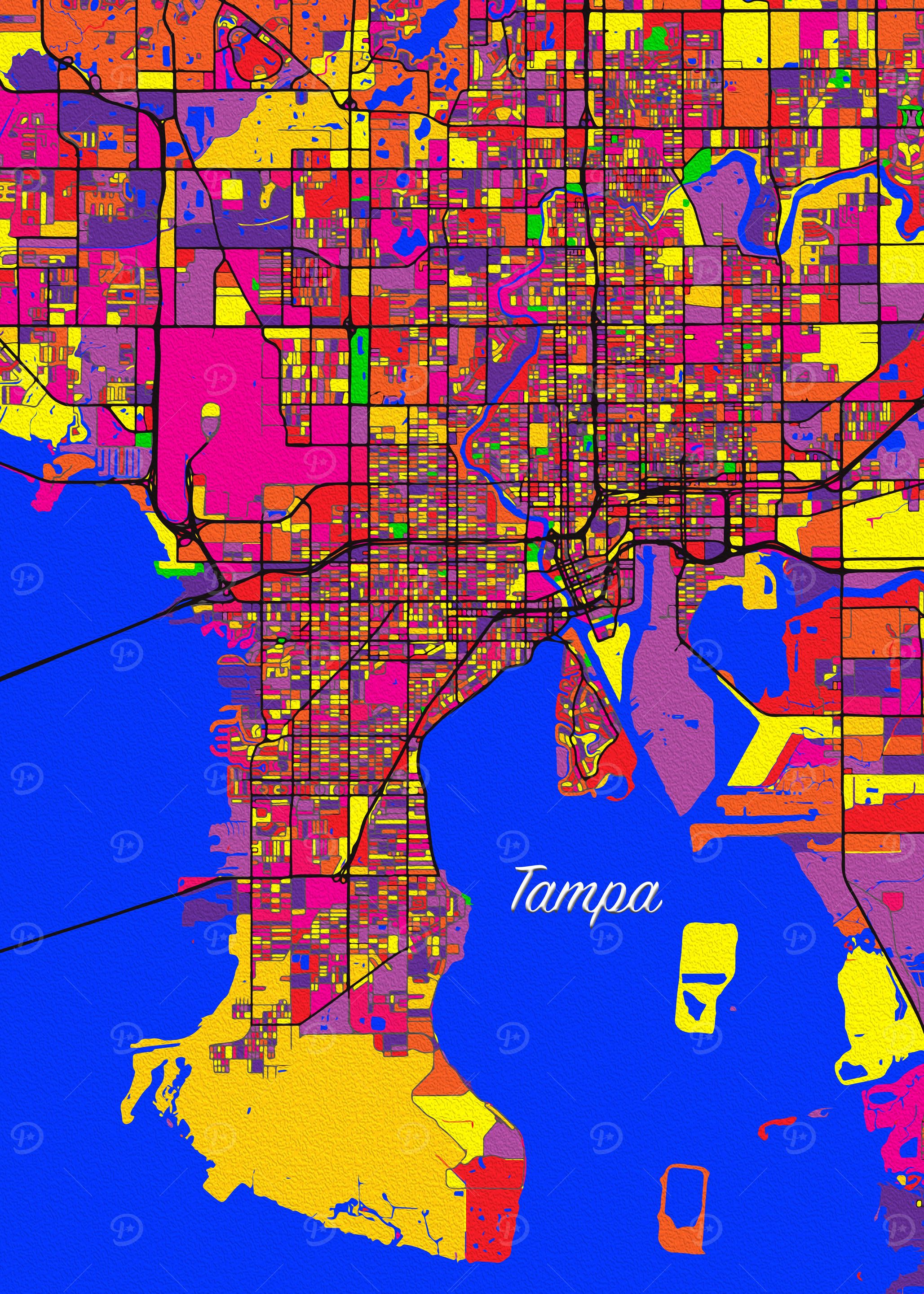 Tampa United States