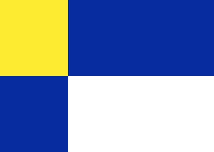 Bratislavsky flag