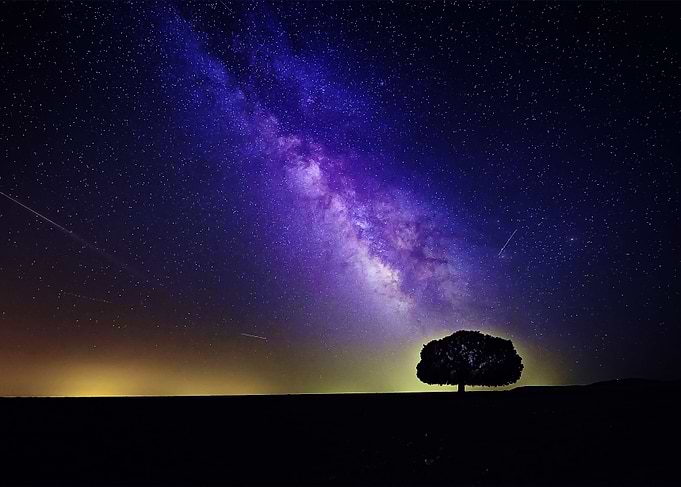 Tree with milky way