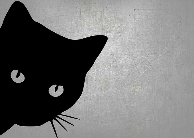 Hello Black Cat