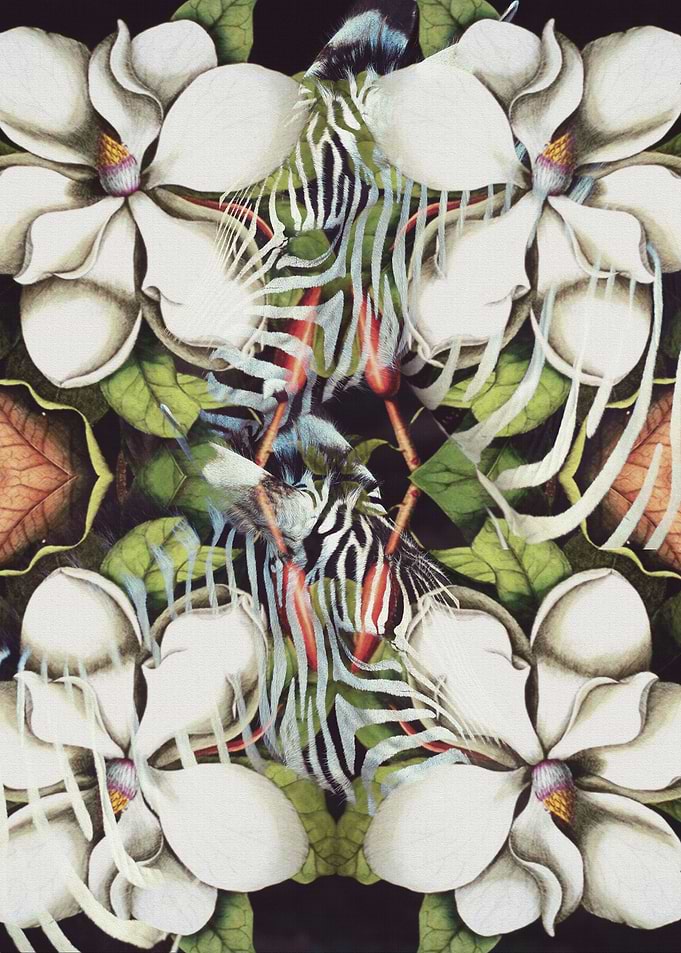 Camoflage