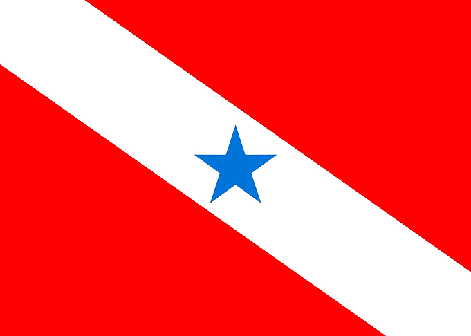 Para Brazil flag