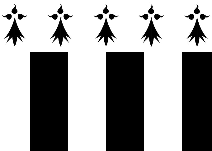 Rennes city flag