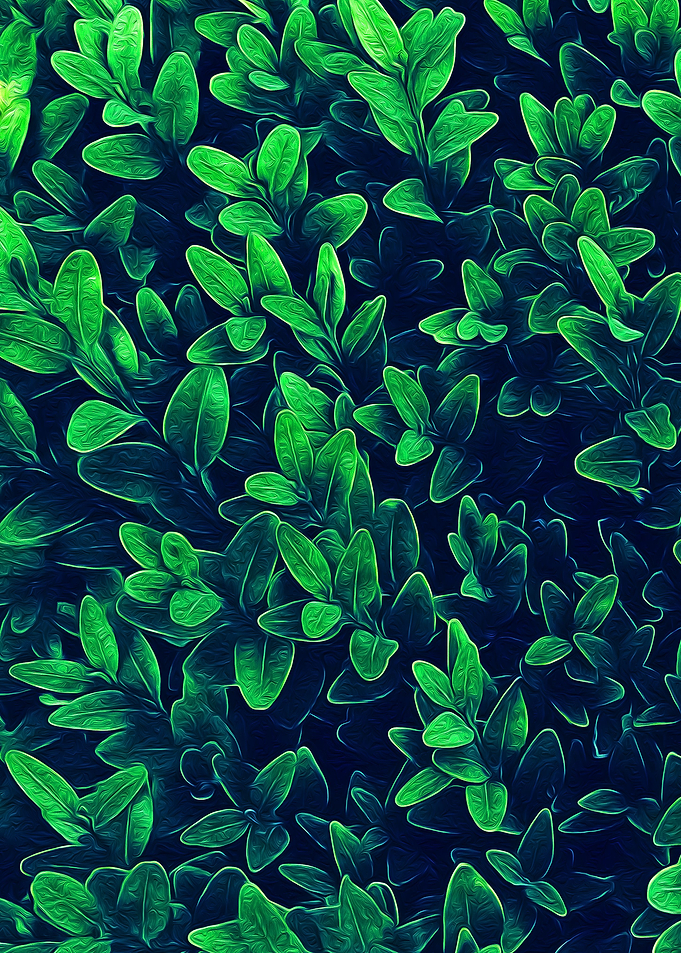 Dreamy Leaves