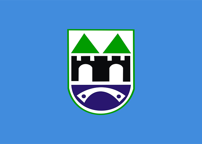 Sarajevo flag