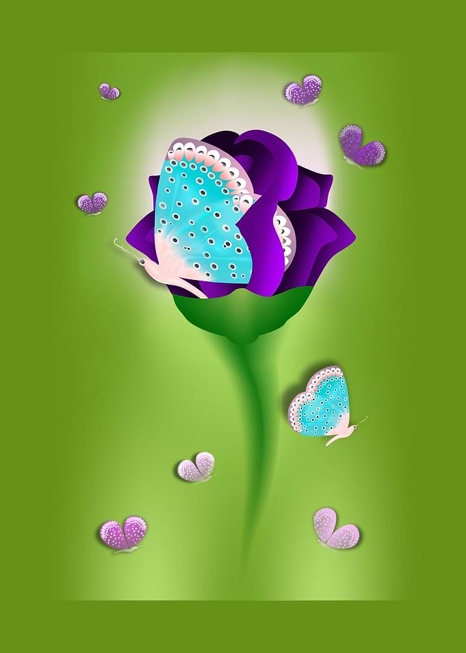 Butterfly Rose