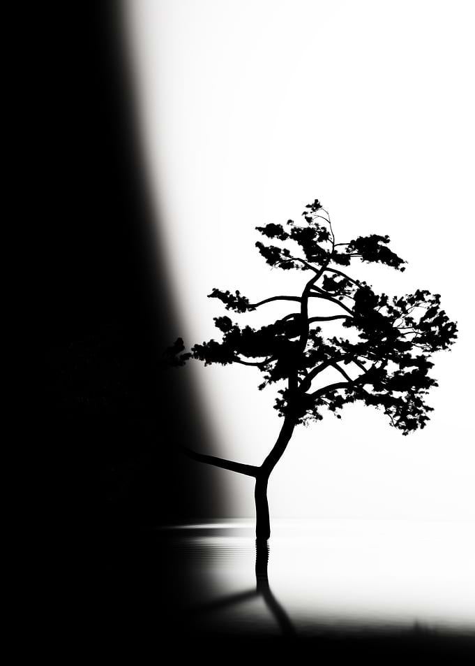 Ripples and Reflections