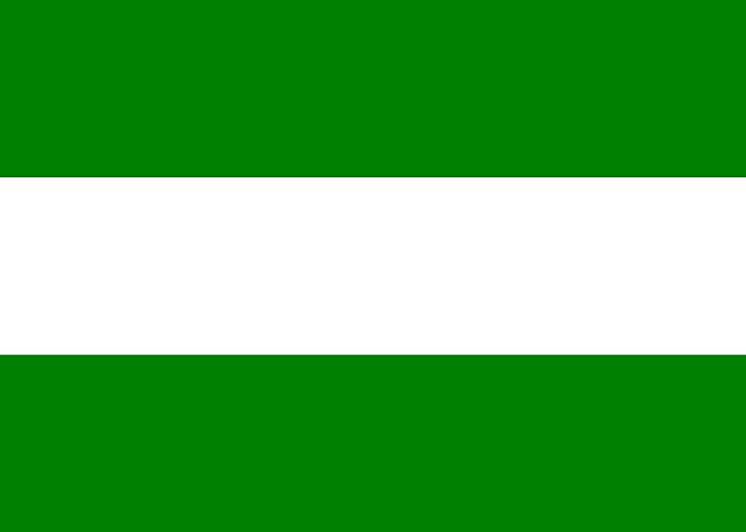 Rotterdam flag