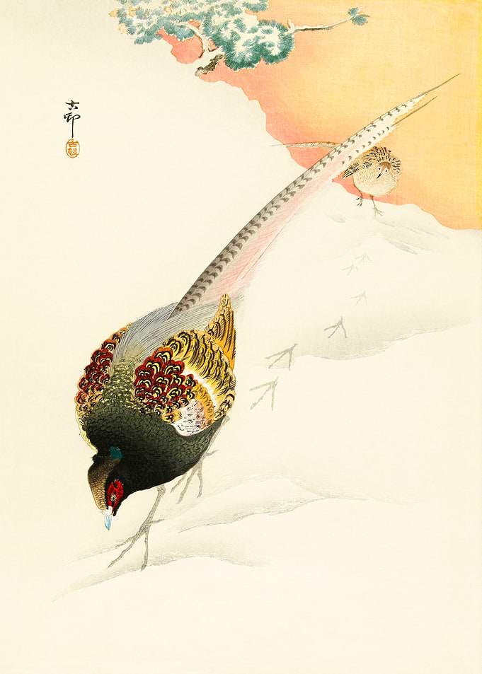 Pheasants in the snow
