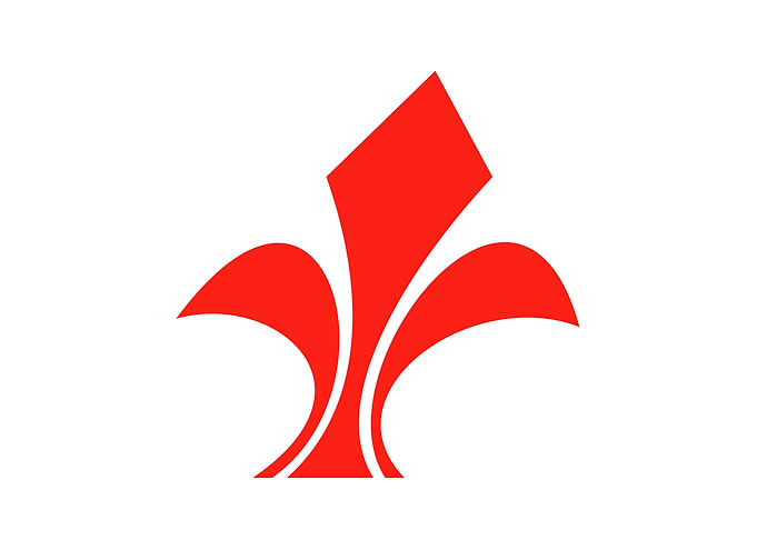 lille flag