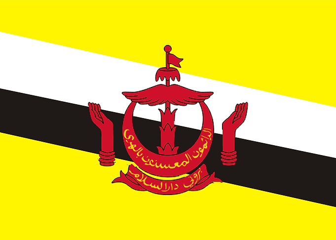 Brunei flag