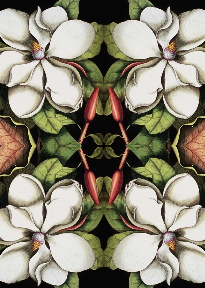 Vintage Magnolia