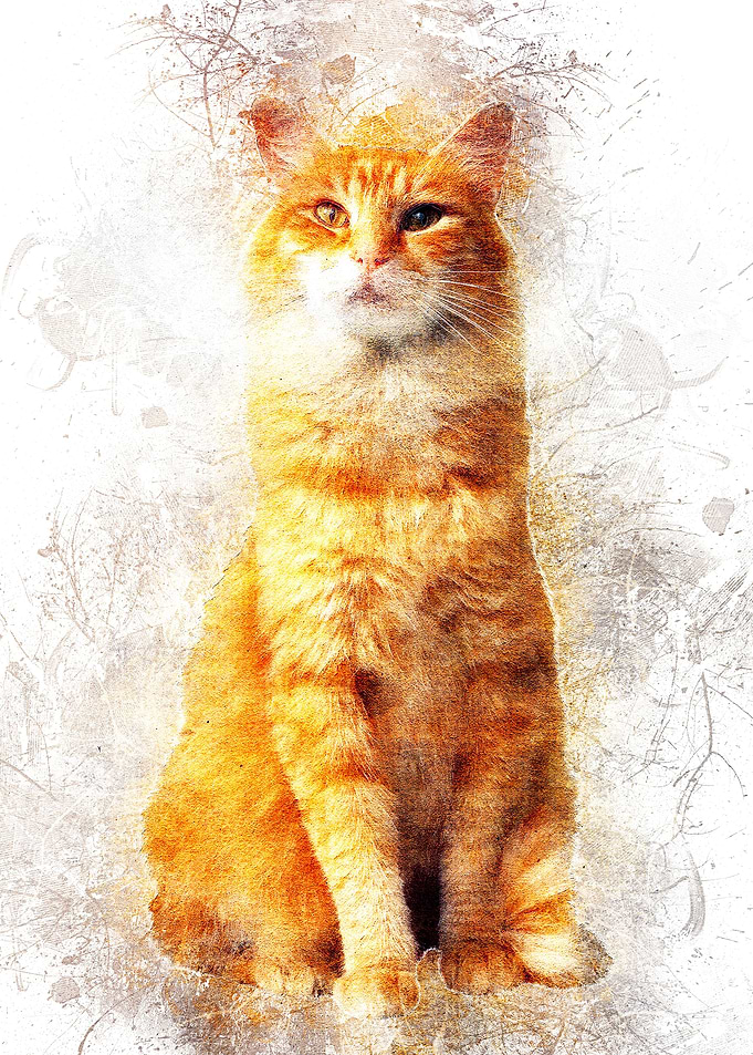 Cat 16