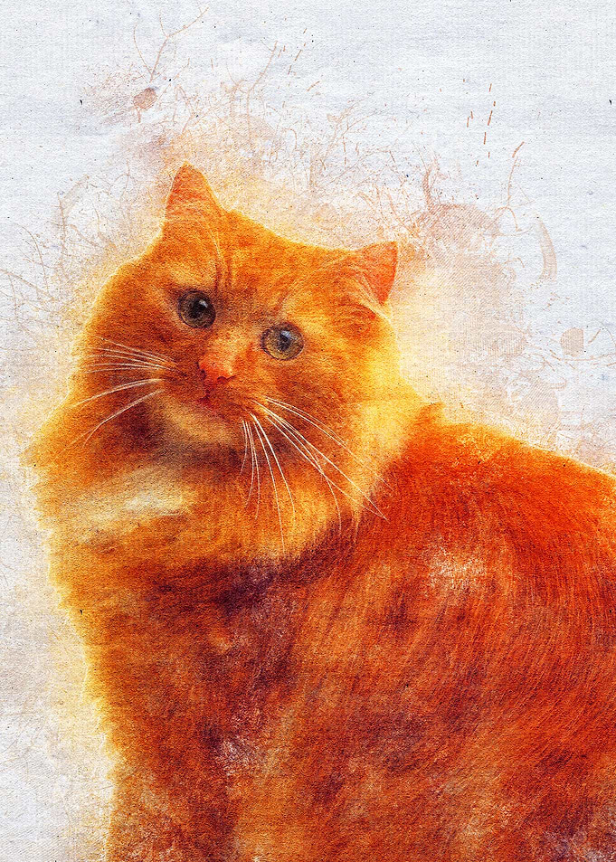 Cat 20