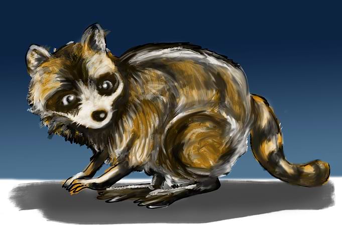 Trash Panda on blue