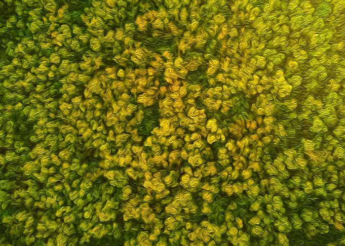 Aerial Forest