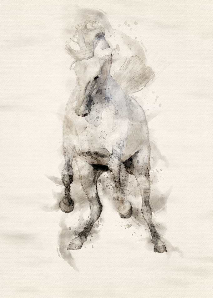 Lusitano