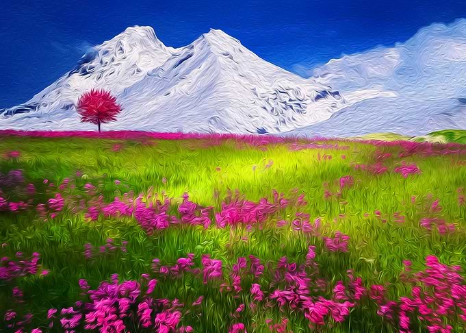 Winter Blossom