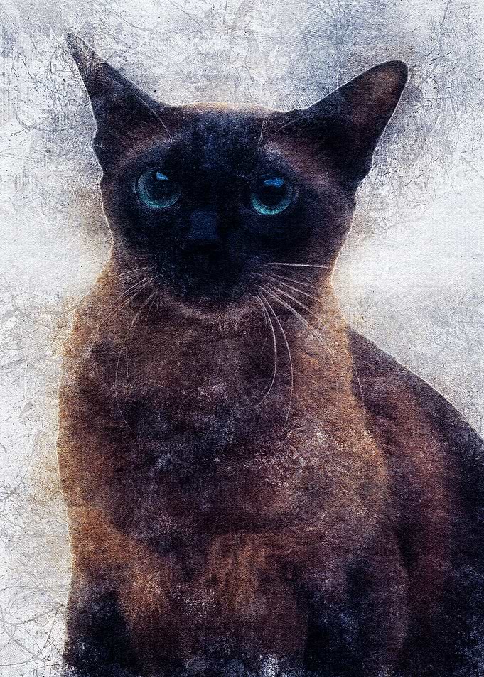 Cat 25