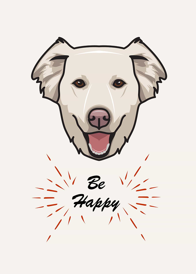 Pet Dog Cute Animal